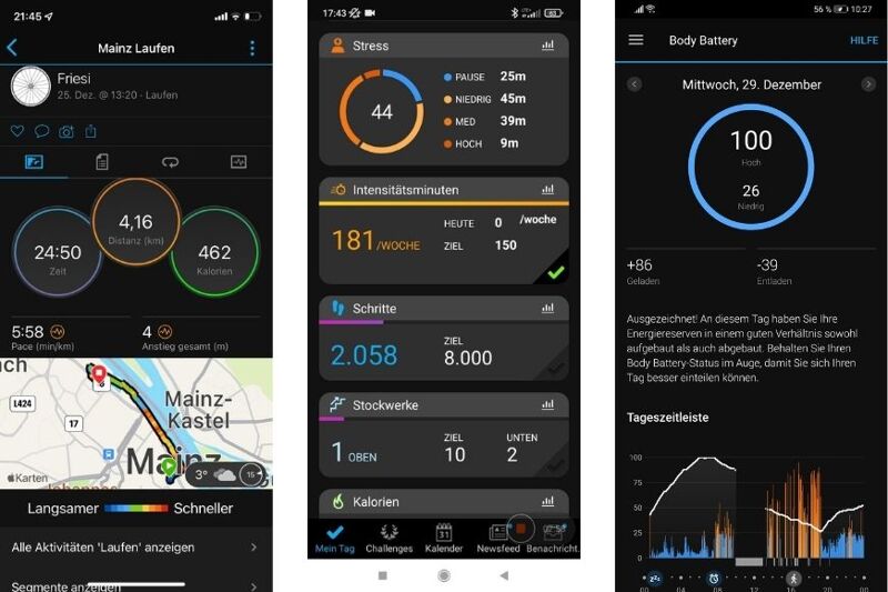 В приложении можно увидеть различные зарегистрированные данные.